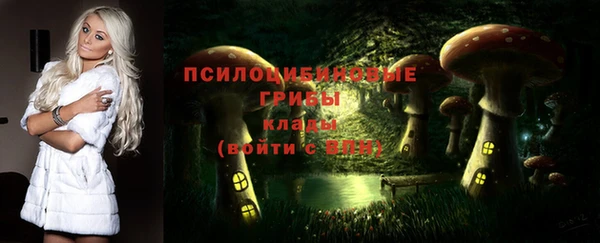 спиды Алексеевка