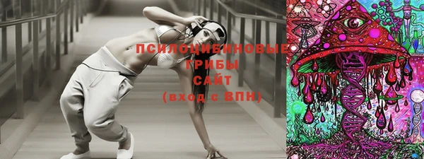 спиды Алексеевка