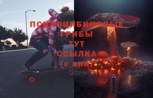 a pvp Алзамай